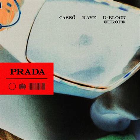 prada casso raye